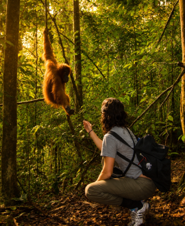 Bukit Lawang